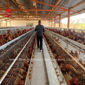 Quality Uganda 4 Tiers Poultry Layer Cage For Sale Farm Chicken 100 KG Mia wholesale