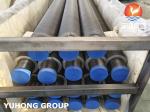 FAST HEAT DISSIPATION HIGH FREQUENCY WELDED FIN TUBE CS PIPE AND FIN