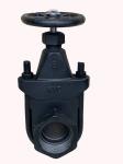 cast iron clip gate valve