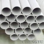 Seamless 1.4462 Duplex Stainless Steel Pipe ASTM A789 S31803