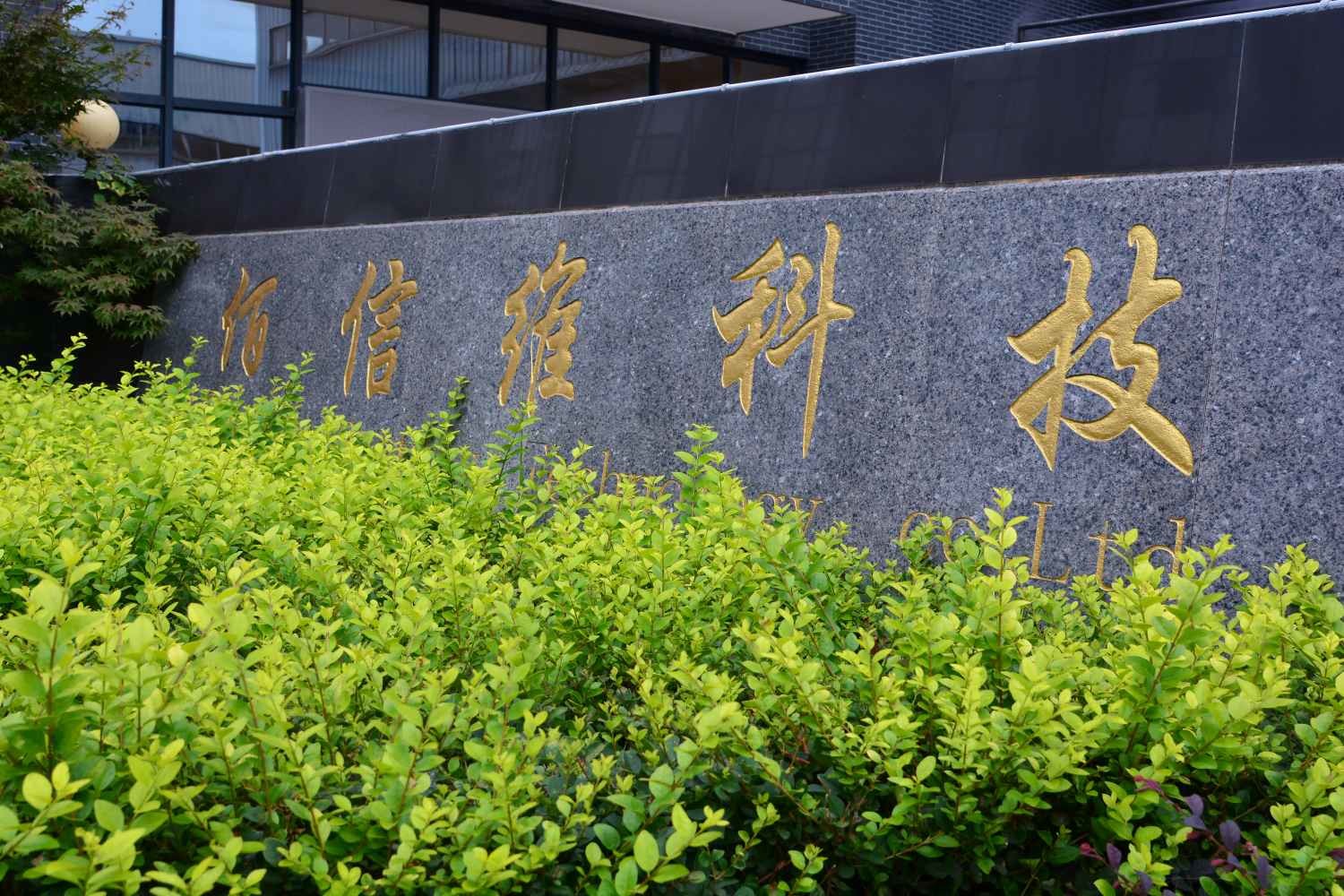 Immobilized Lipase, Industrial Enzyme, Bioenergy Enzyme, environmental Friendliness, High Reusability
