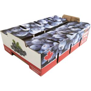 Quality Tomato Fruit Carton Box Vegetable Packaging Box Easy Operation For Farm wholesale