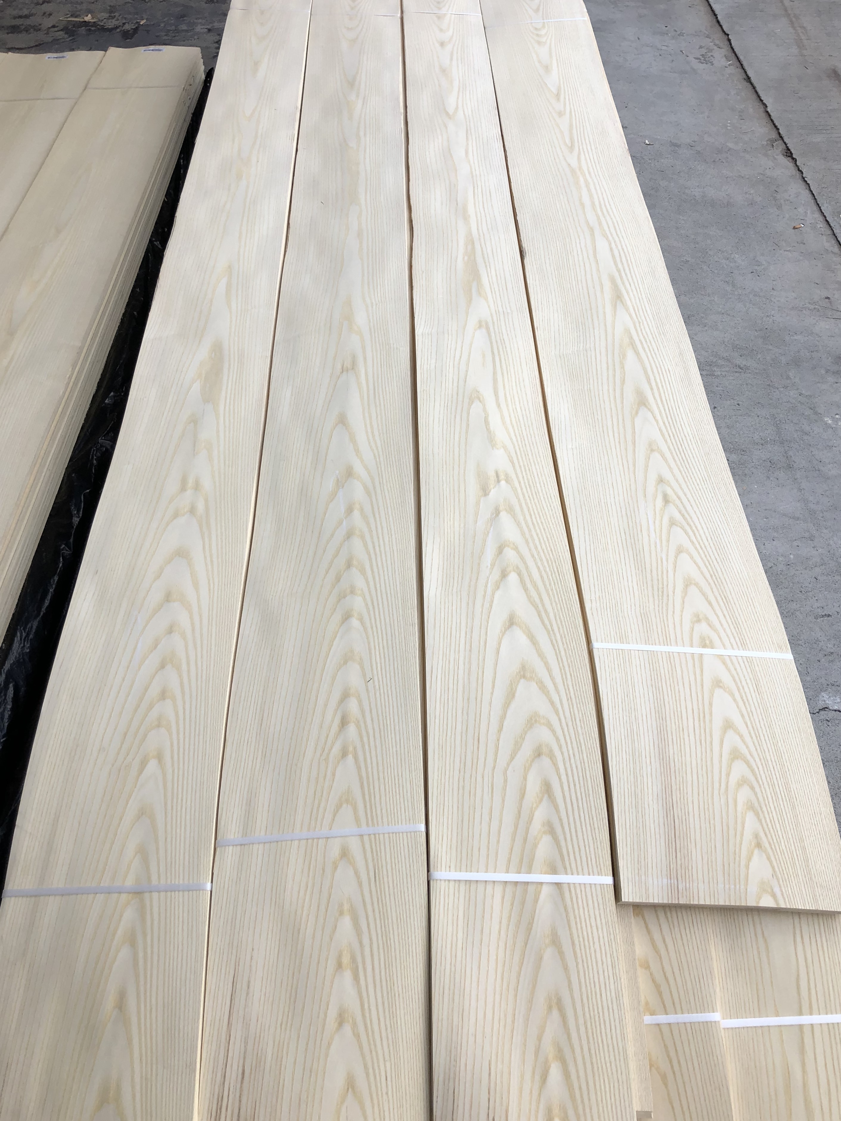 Factory Supply Natural White Ash Wood Veneer Sheet American White Ash Veneers Wood for Furniture