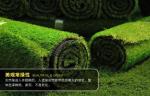 artificial lawn from Factory