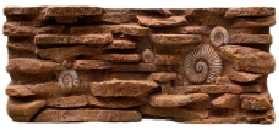 Quality Simulated Fossil Landscape Terrarium Background For Snacks And Lizards wholesale