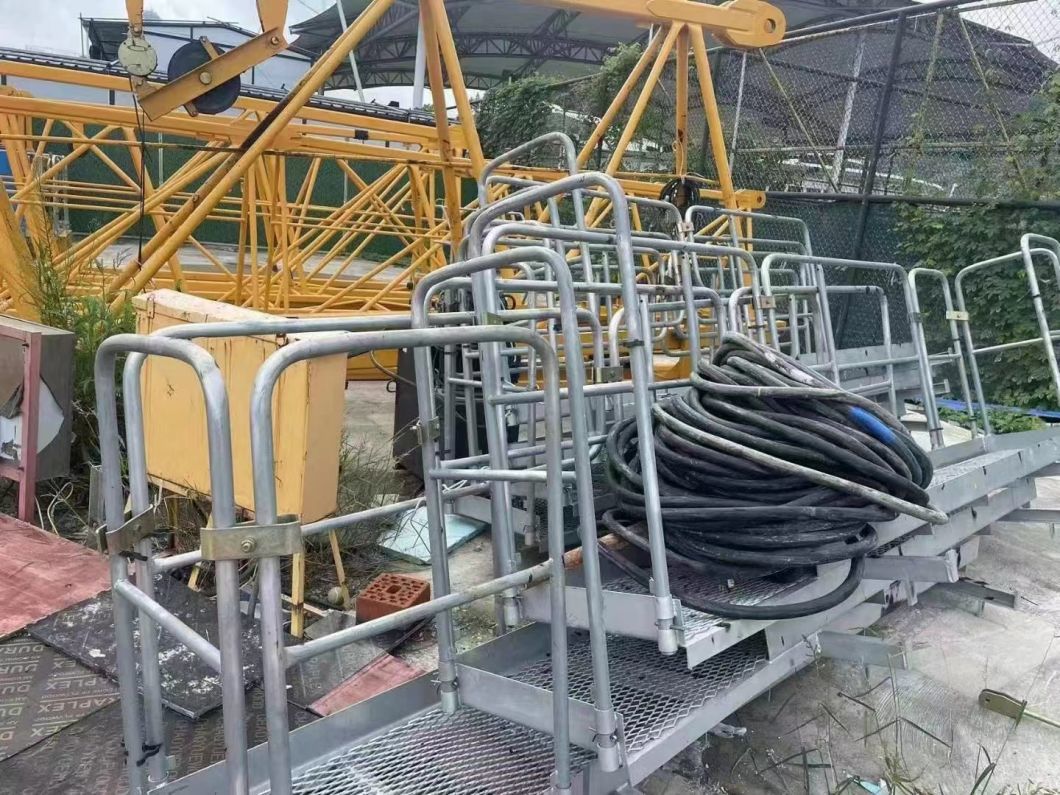 Used Tower Crane Zoomlion W6017-8b with 8t Max Load