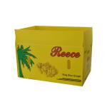 Anticorrosive Corrugated Plastic Packing Box Vegetable Fruit Coroplast Shipping