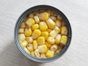 Quality 185g / 6.5oz Yellow Corn Kernels Canned Packing In Carton / Tray wholesale