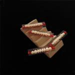 Acrylic Resin Teeth Posteriors Upper (8x1)x12 High Wear Resistance Composite