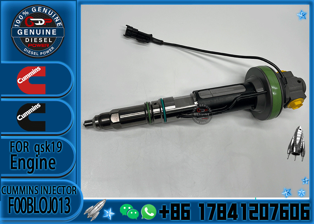 Common Rail Engine Accessories Diesel Injector 4964172 FOOBLOJ013 F00BLOJ013 FOR QSK38/50