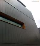 Customized Color WPC Extrusion Fluted Exterior Wall Panel for Modern Outdoor