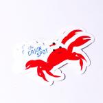 OEM CMY Printing Hot Stamping Foil Self Adhesive Sticker Paper
