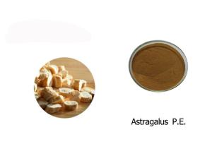 Quality 100% Astragalus Extract Powder wholesale
