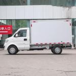 Ruichi EC31 Pure Electric Small Cargo Container Truck Commercial Vehicle