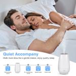 Usb Household Double Switch Air Purifying Aroma Diffuser
