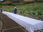 PP Non Woven Fabric 30g-300g Essential Material for Road Construction and