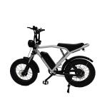 Rear Hub Motor 20*4.0'' Fat Tire Electric Bicycle E-Bike For Market