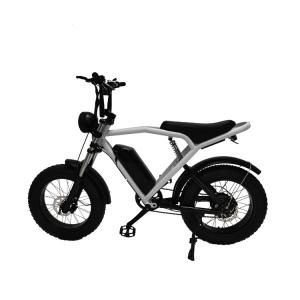 Quality Rear Hub Motor 20*4.0'' Fat Tire Electric Bicycle E-Bike For Market wholesale