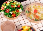 20 OZ MICROWAVABLE DISPOSABLE BOWLS CARDBOARD FOOD BOWLS CHRISTMAS DISPOSABLE