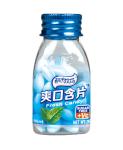 OEM Available Super Cool Mint Candy Vitamin C Sugar Free Mints Packed In 20g