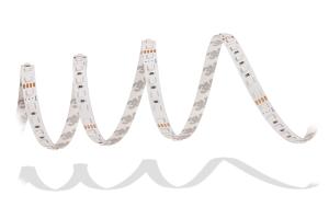 Quality LEDCORP 4040 RGB 120LEDs/m single line IP68 wholesale