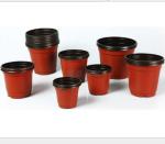 PP Plastic flower POTS 9 cm to 21 cm diameter specifications Double color flower