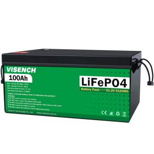 Quality Visench Rechargeable Lithium Ion Batteries 51.2V 100Ah 24 Volt Custom LiFePO4 Battery Pack wholesale