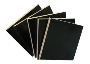 Quality Black WBP Ply Board , Poplar Plywood Sheets For Bridge Construction wholesale
