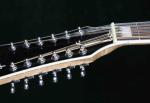 Grand 12 Strings 43'' Jumbo Electric Acoustic Guitar Solid Spruce With Fishman