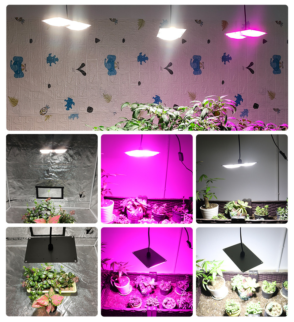 Waterproof Cob Led Chip Moisture Electric Shockproof Led Module 4000k