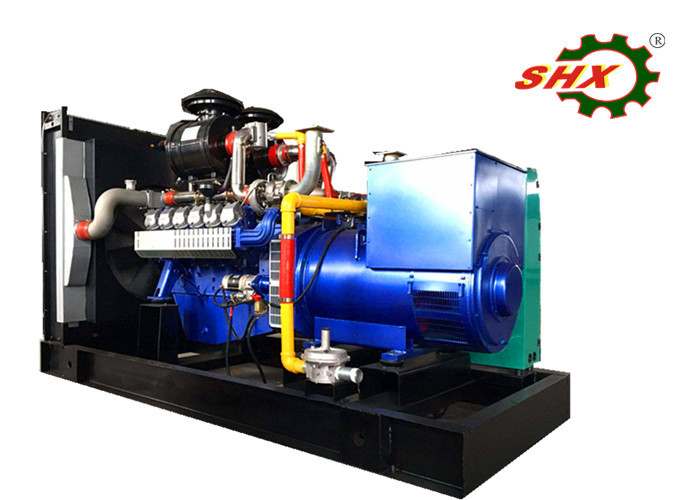 200KW/250KVA Natural Gas Powered Standby Generator AC Three Phase Straw Gas
