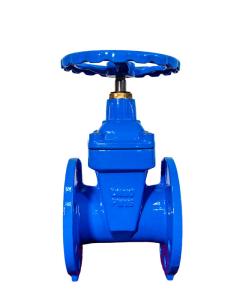 Quality Ductile Iron BS5163 Gate Valve PN10 PN16 PN25 3&quot; wholesale