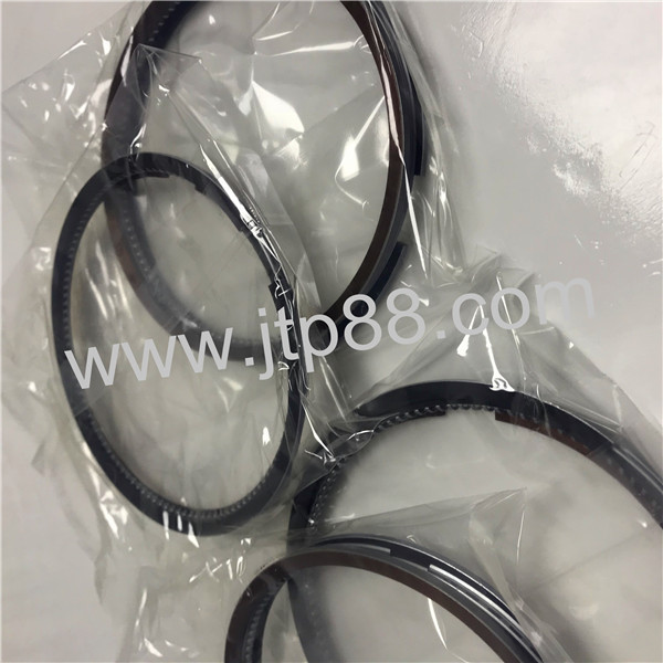 3136-31-2030 Engine Piston Rings For Mitsubishi Galant L3000 / L2000 / L300