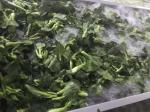 B.Q.F Frozen Rape Flower, 500 grams x 20 bags / carton box for Japan market