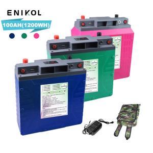 Quality Ternary 12V Lithium Battery Pack 100ah 80ah 50ah For Solar Boats wholesale