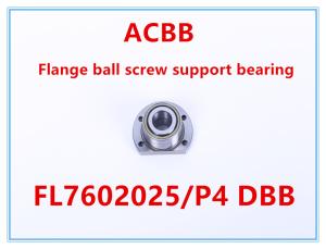 Quality FL7602025/P4 DBB Flange Ball Screw Support Bearing wholesale