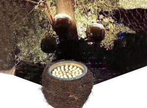 Quality LED Simulation Bird'S Nest Lights Tree Shoot Outdoor Spot Light Waterproof Bird Rattan Cage Tree Garden wholesale