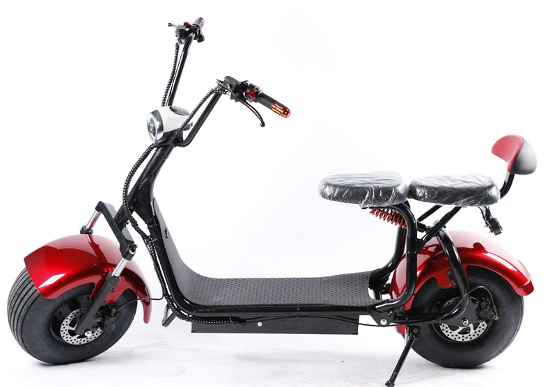 Foldable 1000W Electric Scooter Full Suspension 60V 20Ah Battery Optional