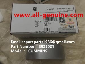 Quality 3929021 MAIN BEARING CUMMINS ENGINE TEREX NHL DUMP TRUCK TR35 TR50 TR60 TR100 3305B 3305F 3303 3307 TR45 TR70 MT4400 wholesale
