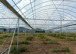 Quality Greenhouse Round ERW Steel Pipe , Hot Dip Galvanized Steel Pipe Good Reliability wholesale