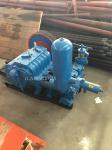 Mud Pump For Drilling Rigs BW - 250