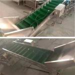 potato elevator, vegetable belt elevator, sweet potato roller elevator