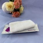 23x23cm Airline Wet Towel