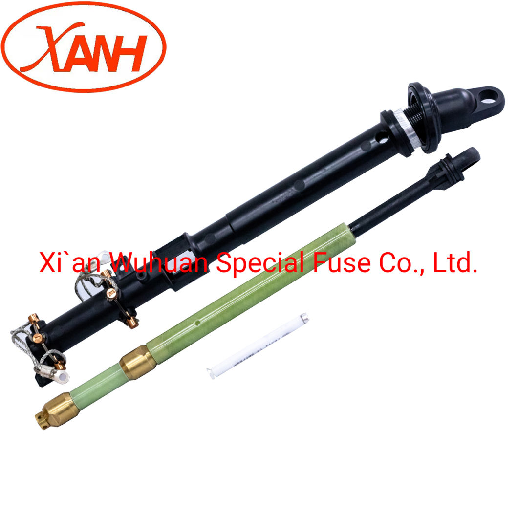 Bay-O-Net Tap Changer Switch Fuse for Oil Transformer Prnt4-15.5/10