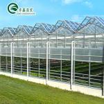 Glass Covered Vertical Hydroponic System for Growing Vegetables Fruits and