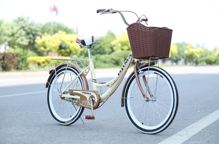 Single Speed Fixed Gear 24 Inch City Bike