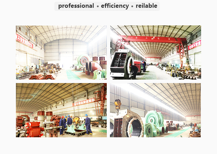 Customized Vortex Turbine Hydro Power Generator Horizontal Or Vertical Francis Turbines