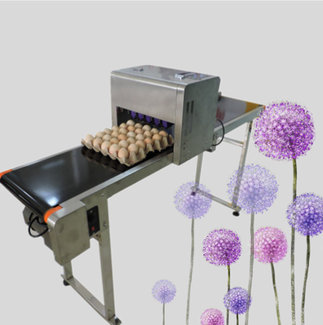 Egg Jet Printer And Hand Printer Edible Ink Printer Unlimited Printing Length