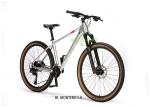 Forge Alloy Frame Mountain Bike With Hydraulic Disc Brake SHIMANO Freewheel