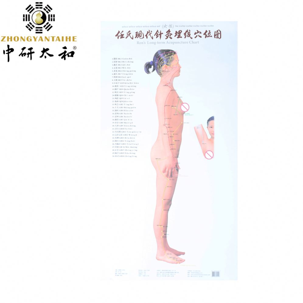 Human Body Meridian Acupuncture Culture Acupoint Acupressure Points Chart